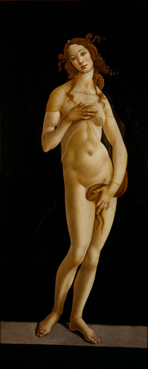 金星谦虚，CA 1485-1490。 作者 桑德罗·波提切利（Sandro Botticelli）