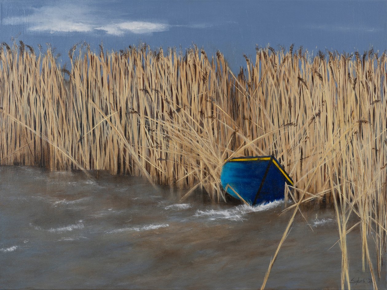  作者 