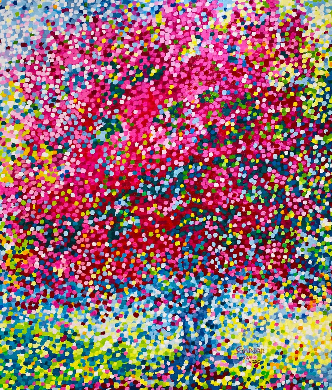 Émotions Cosmiques 作者 Santina Semadar Panetta