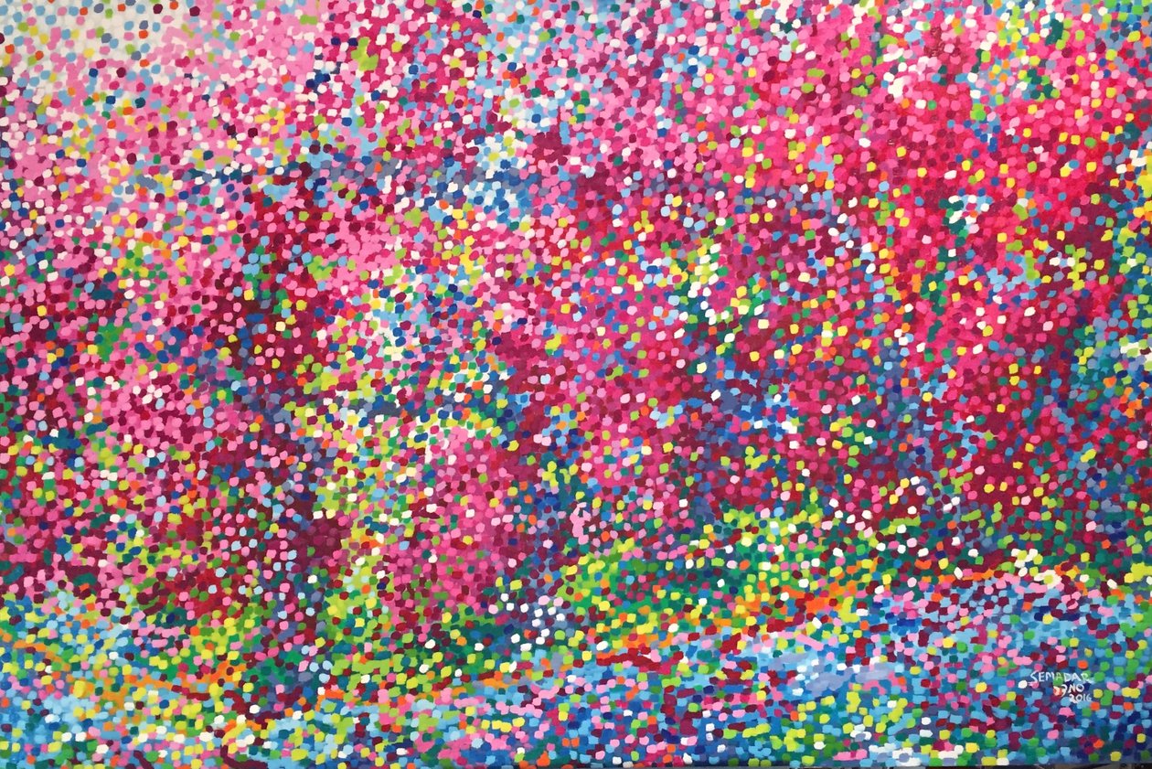 Raison Cosmique 作者 Santina Semadar Panetta