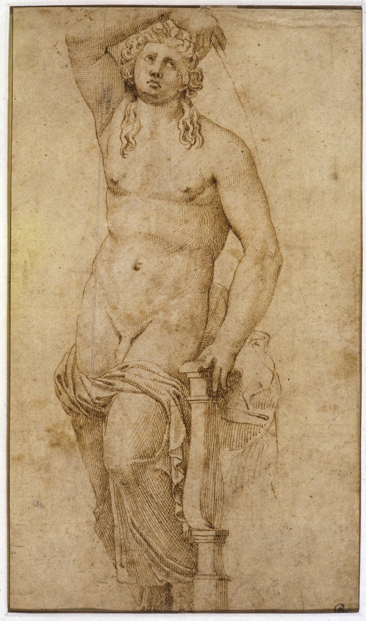 阿波罗 作者 拉斐尔（Raffaello Sanzio Raphael）
