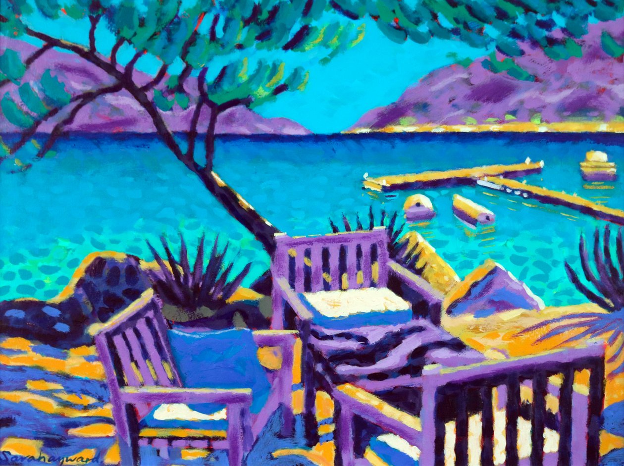  作者 莎拉·海沃德