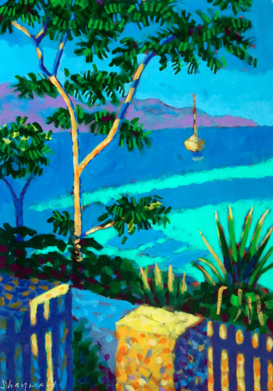  作者 莎拉·海沃德