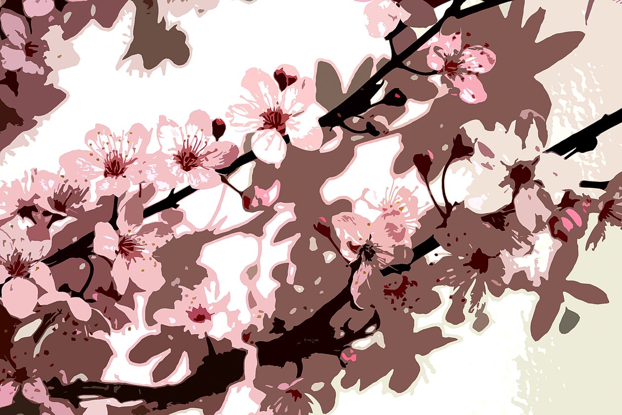 日本花 作者 莎拉·欧图尔（Sarah OToole）