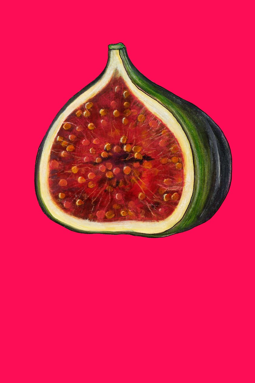 图，2007（纸上油和蜡笔） 作者 莎拉·汤普森·恩格斯