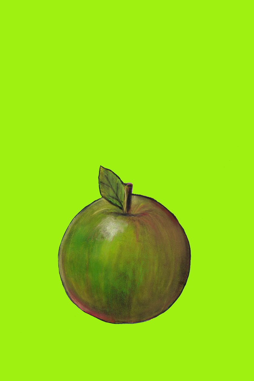 Apple，2007（纸上油画和粉彩） 作者 莎拉·汤普森·恩格斯