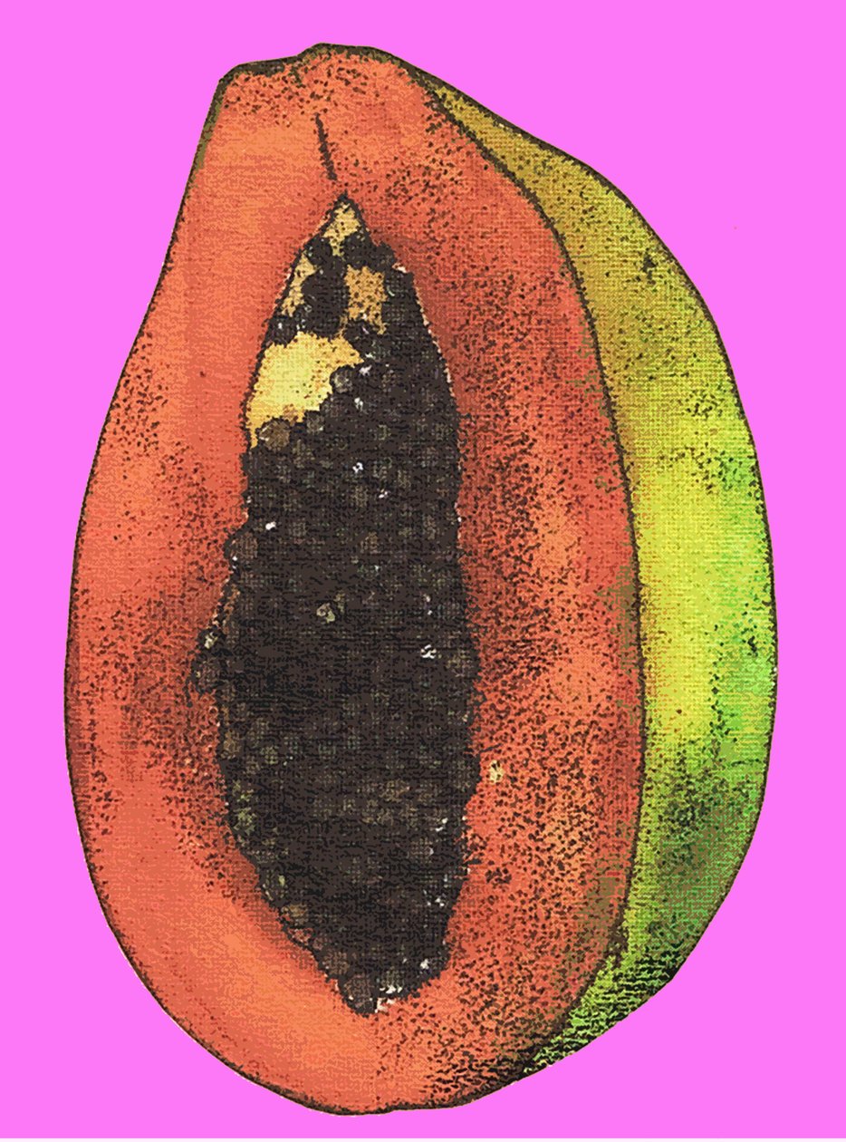 木瓜，2009年（纸上油墨） 作者 莎拉·汤普森·恩格斯