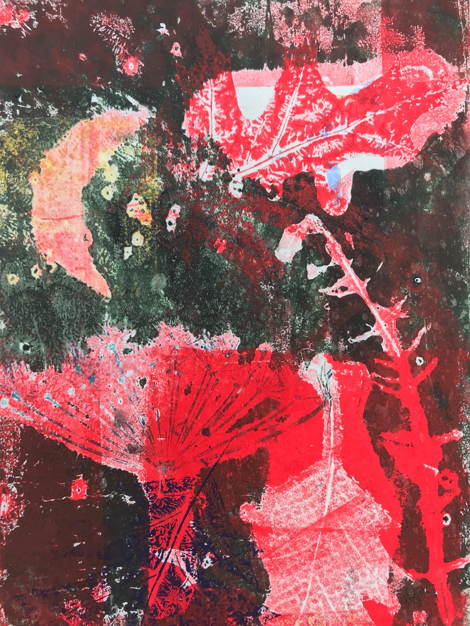红月亮（纸上单打） 作者 莎拉·汤普森·恩格斯