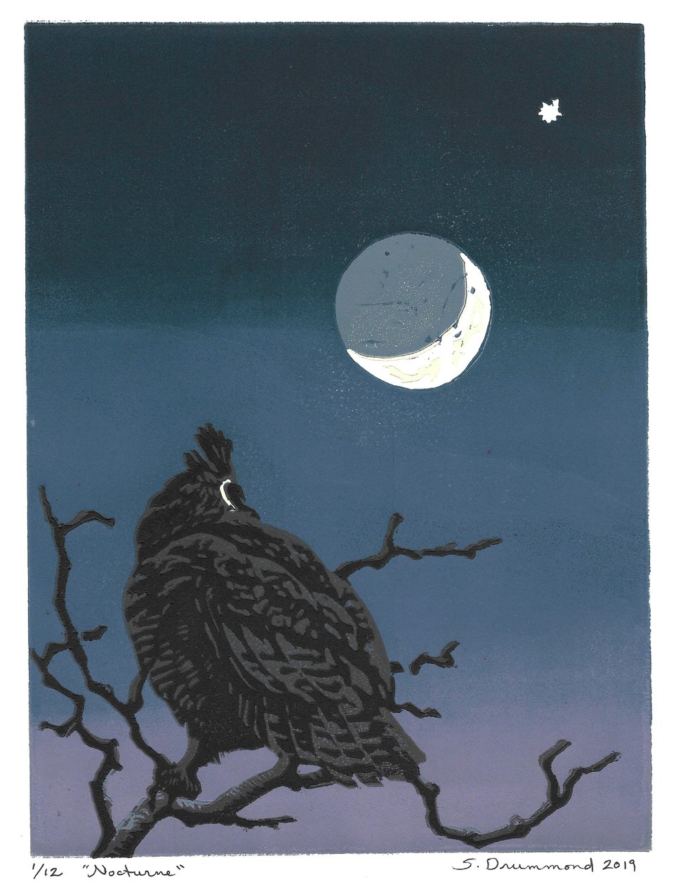 夜曲，2019（连环画） 作者 萨拉·德拉蒙德