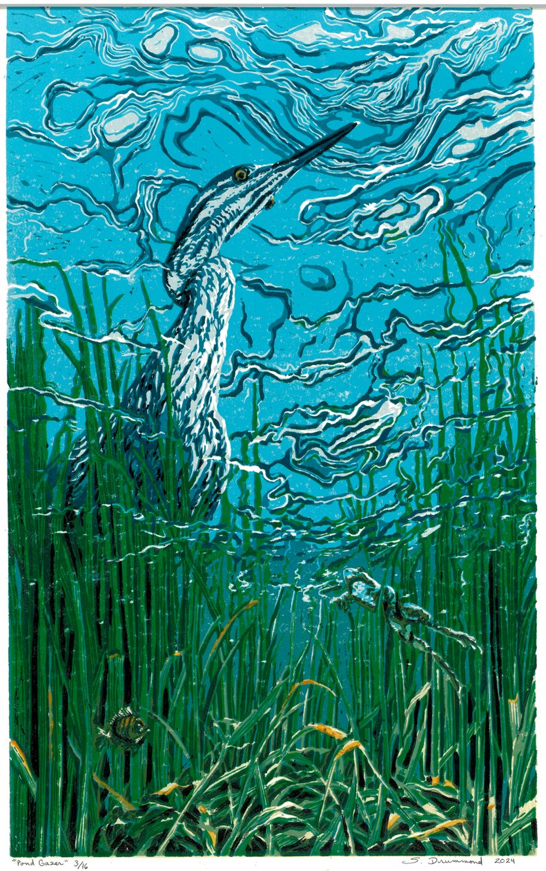 池塘眺望者，2024 年（连环画） 作者 萨拉·德拉蒙德