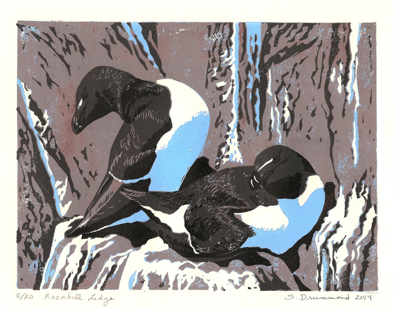 蛏子礁，2014 年（连环画） 作者 萨拉·德拉蒙德