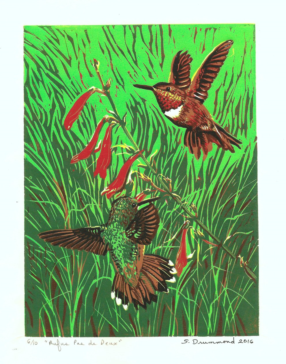 鲁弗斯双人舞，2016 年（连环画） 作者 萨拉·德拉蒙德