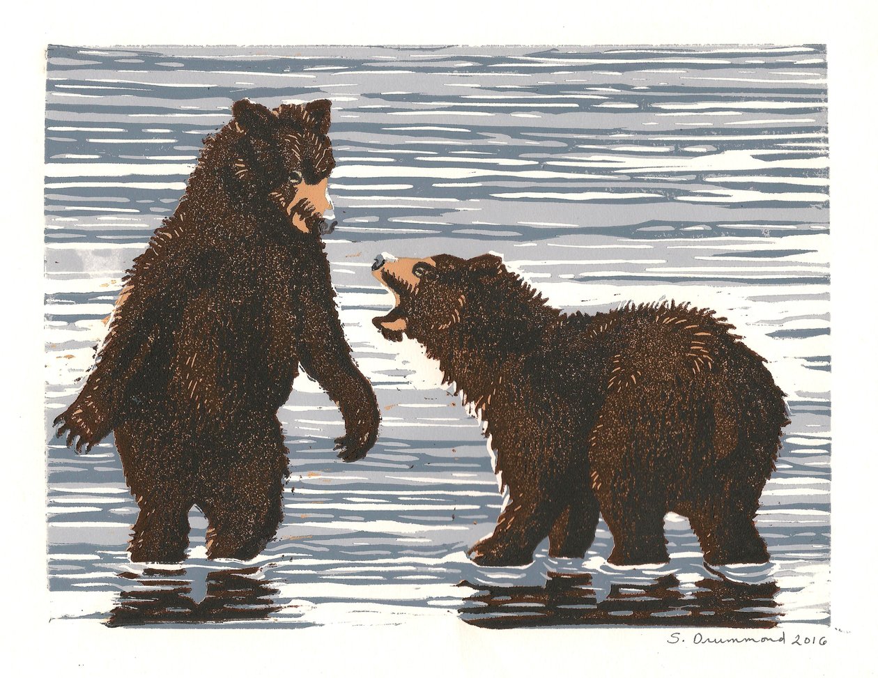 鲑鱼溪嬉戏，2016 年（连环画） 作者 萨拉·德拉蒙德