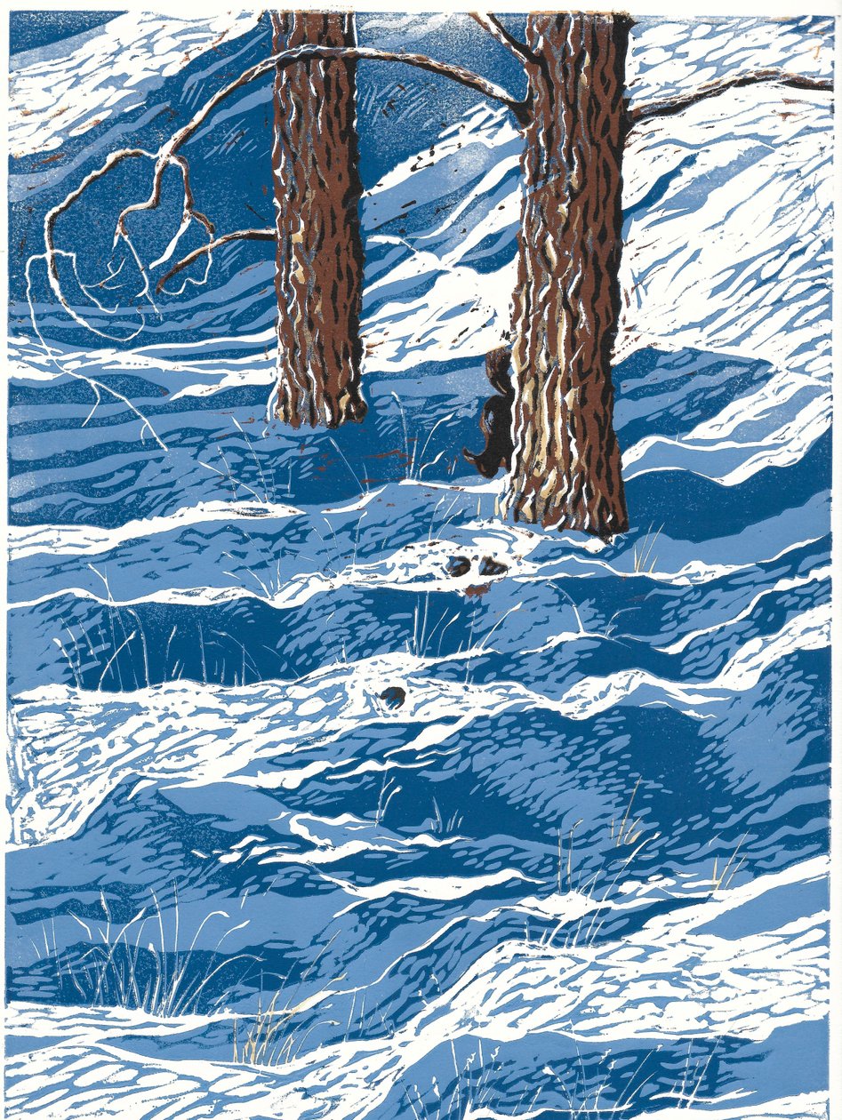 春雪，2016 年（连环画） 作者 萨拉·德拉蒙德