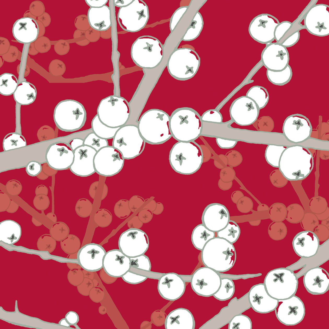 Berry Bright，2005（数字） 作者 莎拉·霍夫