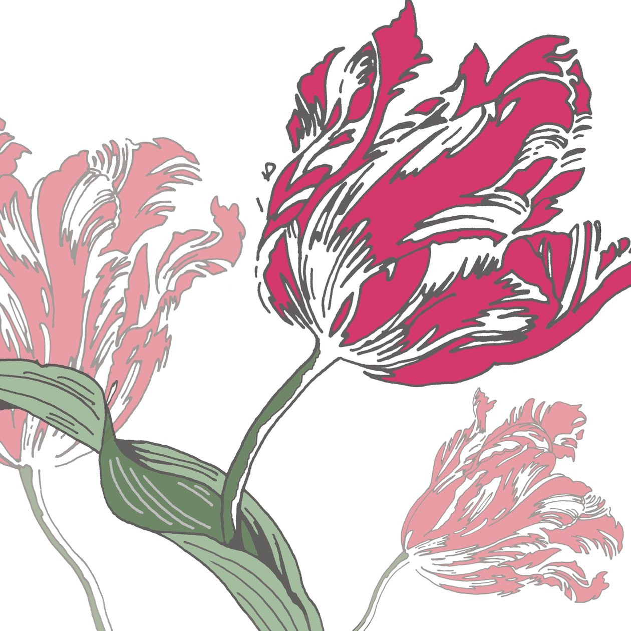 去荷兰，2005（数字） 作者 莎拉·霍夫