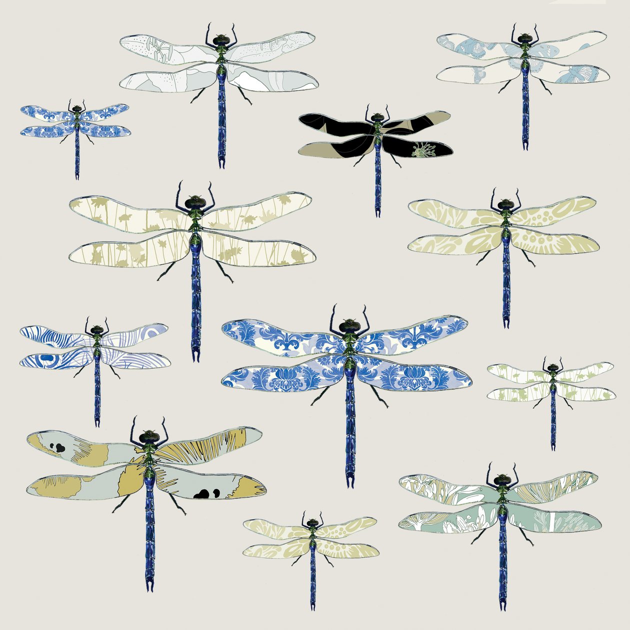 Odonata，2008（数字化） 作者 莎拉·霍夫