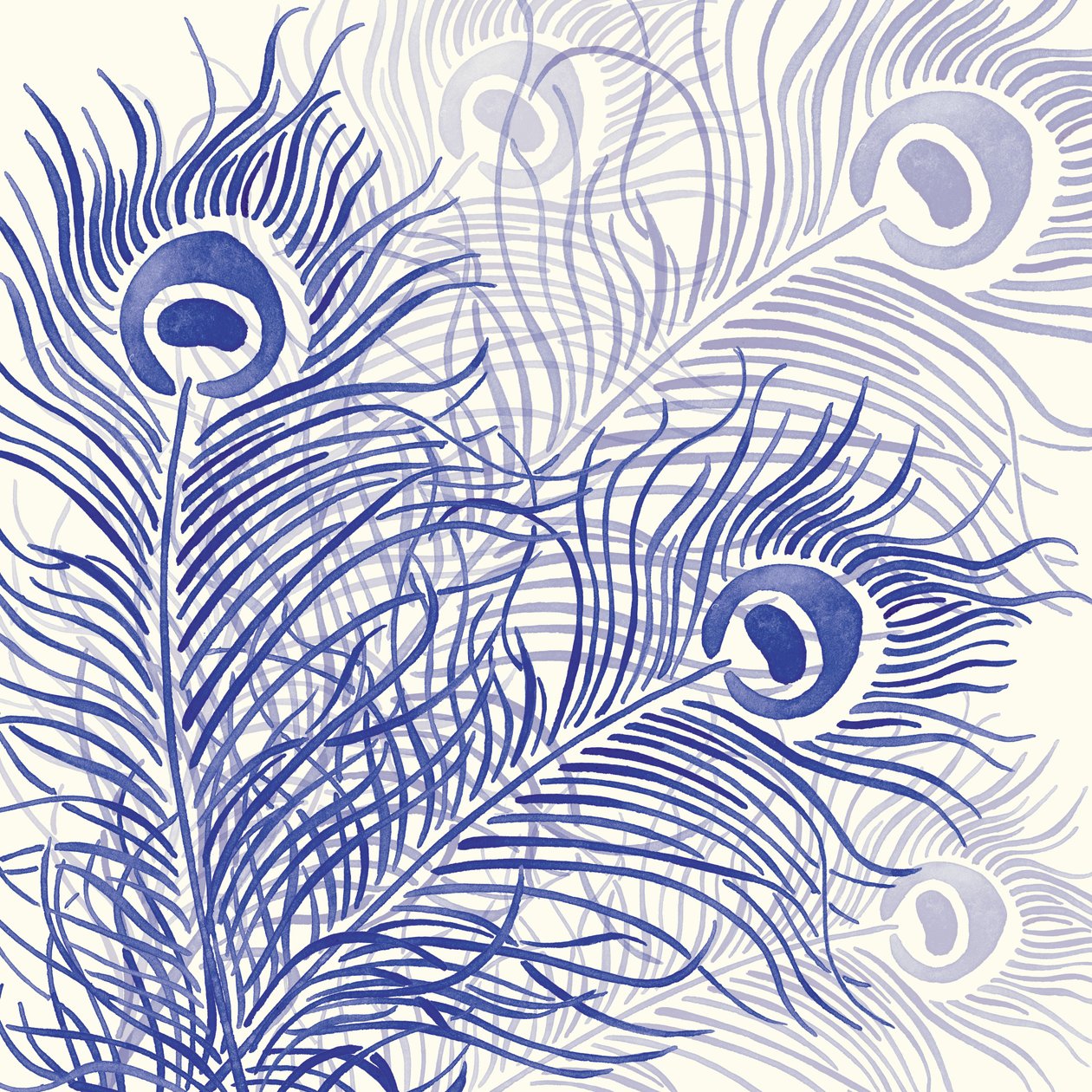Peacock Parade，2004（数字） 作者 莎拉·霍夫