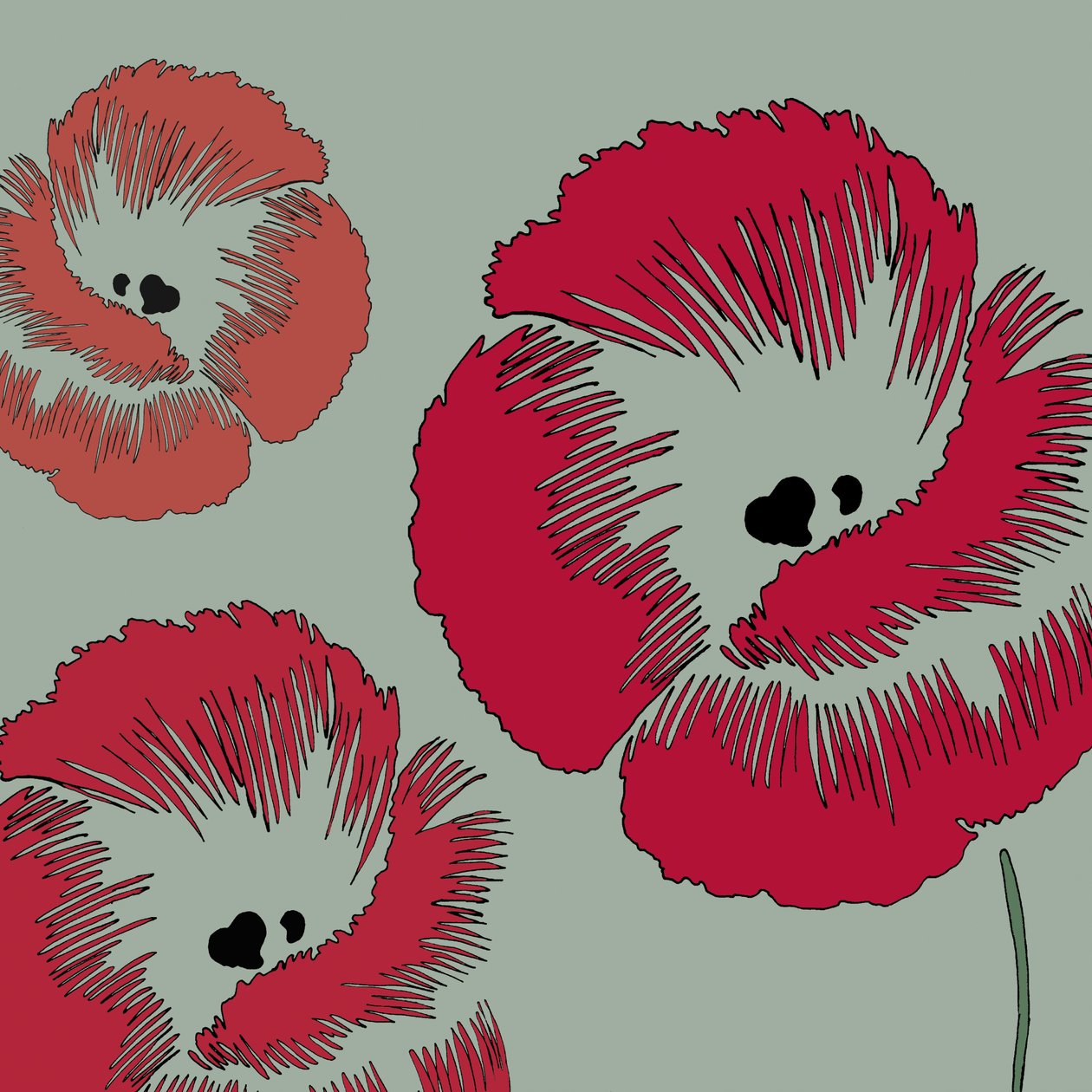 Picnic Poppy，2005（数字） 作者 莎拉·霍夫