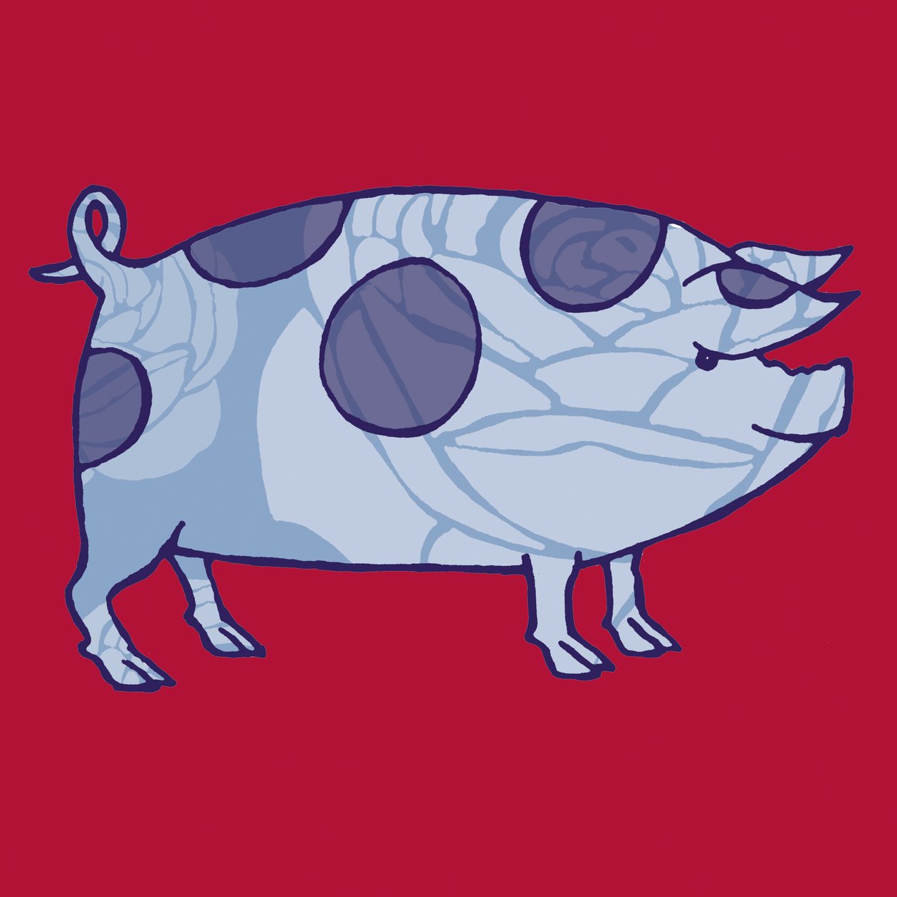 Piddle Valley Pig，2005（数字化） 作者 莎拉·霍夫