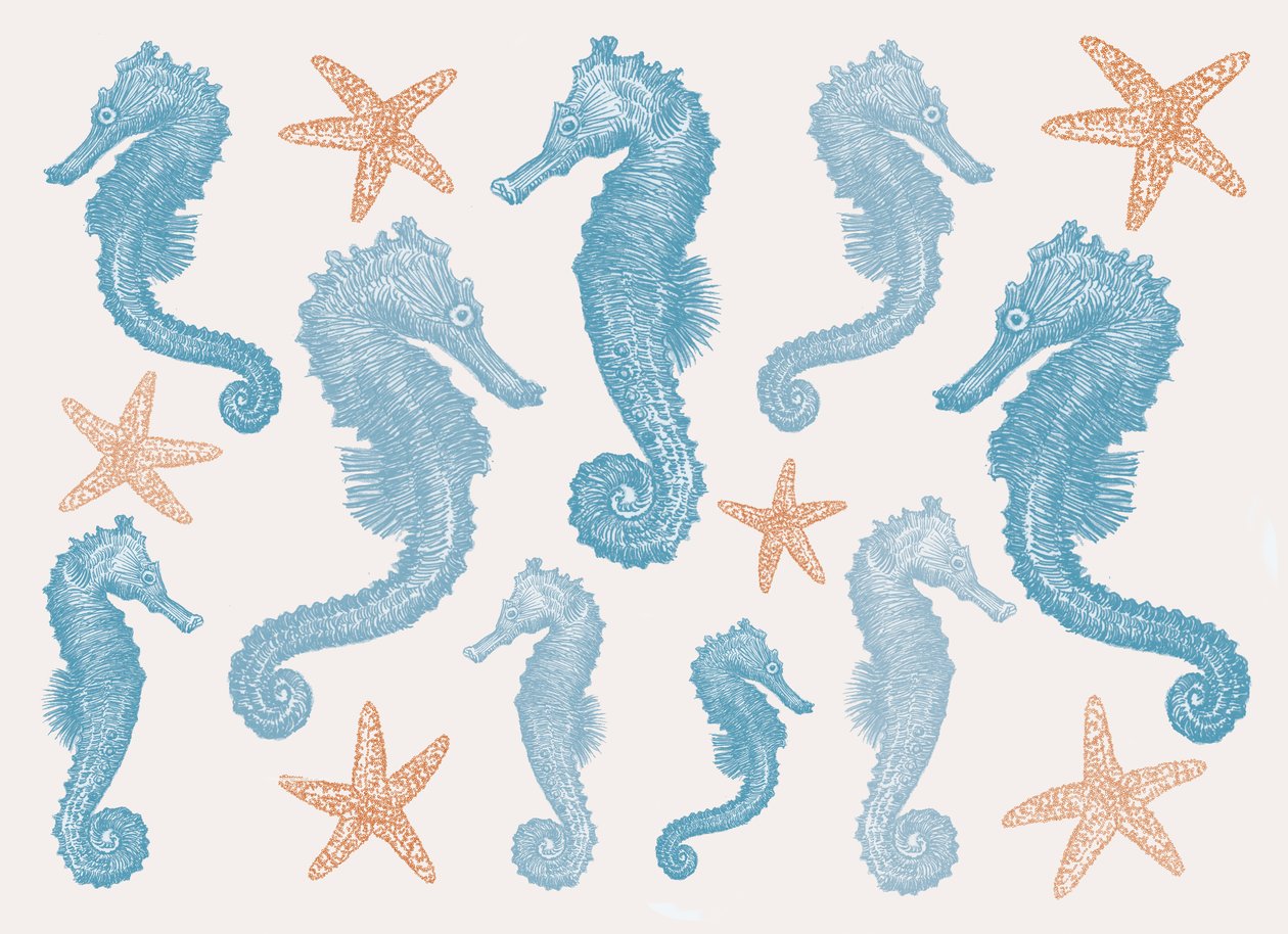 Seahorses and Starfish, 2017 作者 莎拉·霍夫