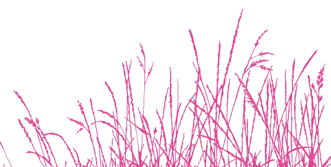 Wild Whisper，2009（数字化） 作者 莎拉·霍夫