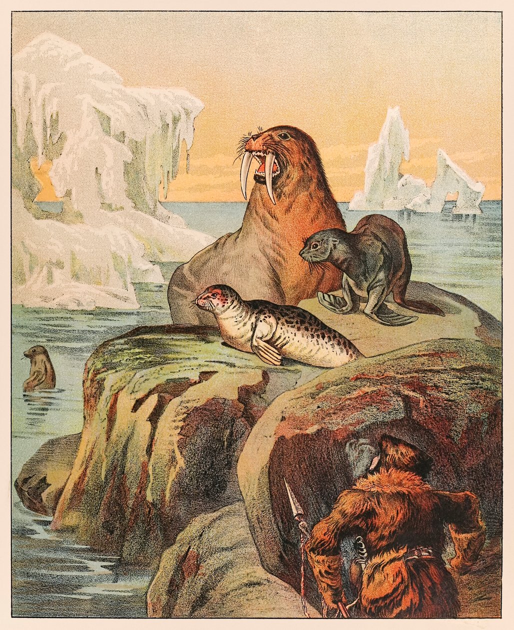 爱斯基摩人正在狩猎海豹和海象，来自 P.T. 巴纳姆的动物园于 1888 年出版，莎拉·J·伯克 (Sarah J. Burke) 绘制插图。 作者 莎拉·J·伯克