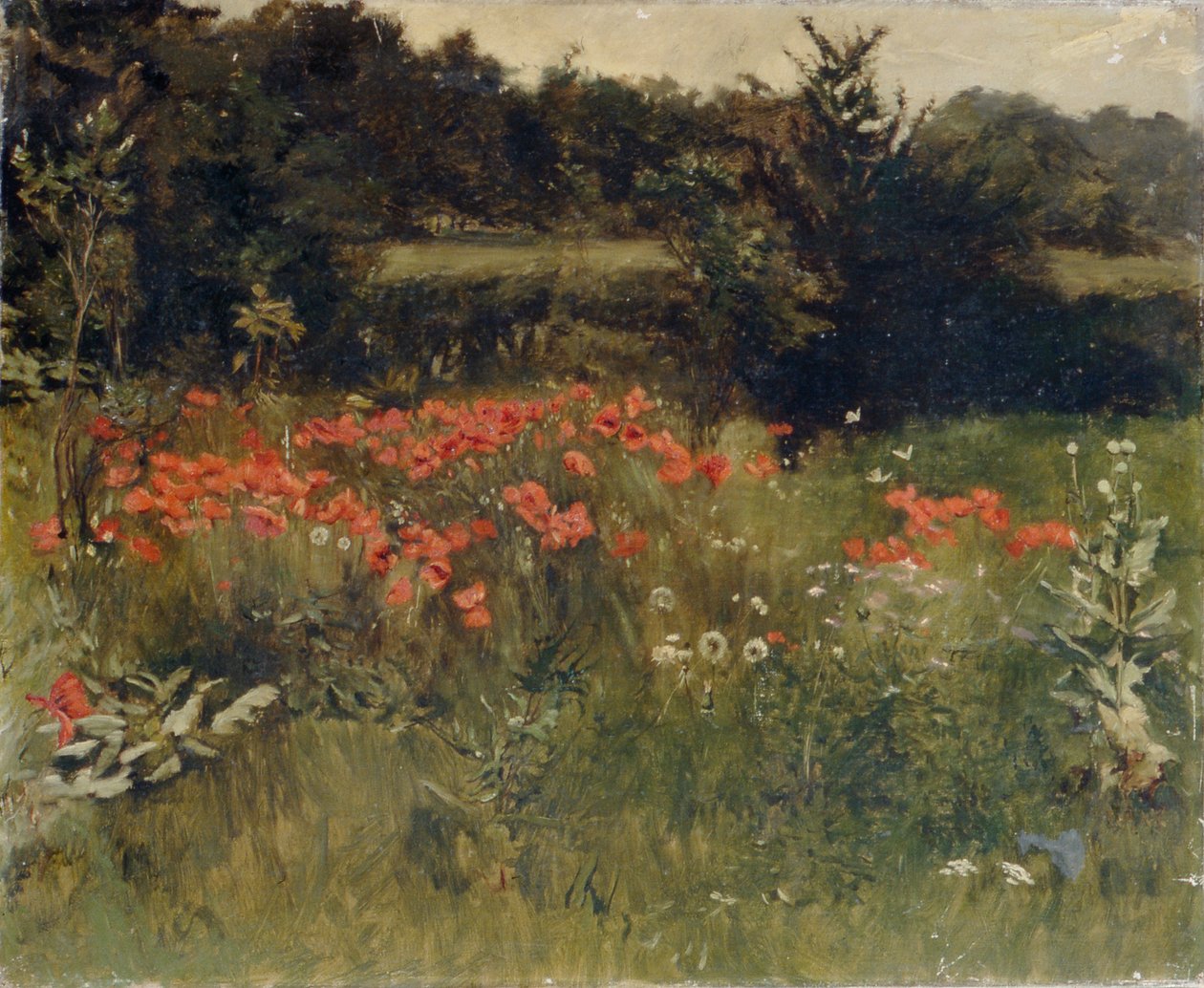罂粟花，里盖特 作者 莎拉·帕克斯顿（Sarah Paxton Ball）Dodson