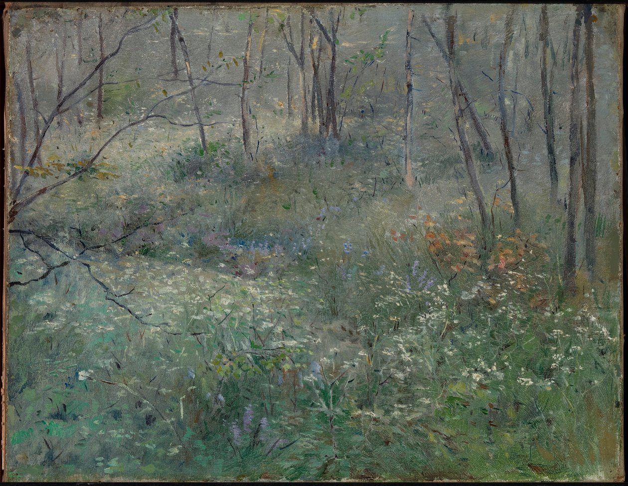野生欧芹 作者 莎拉·帕克斯顿（Sarah Paxton Ball）Dodson