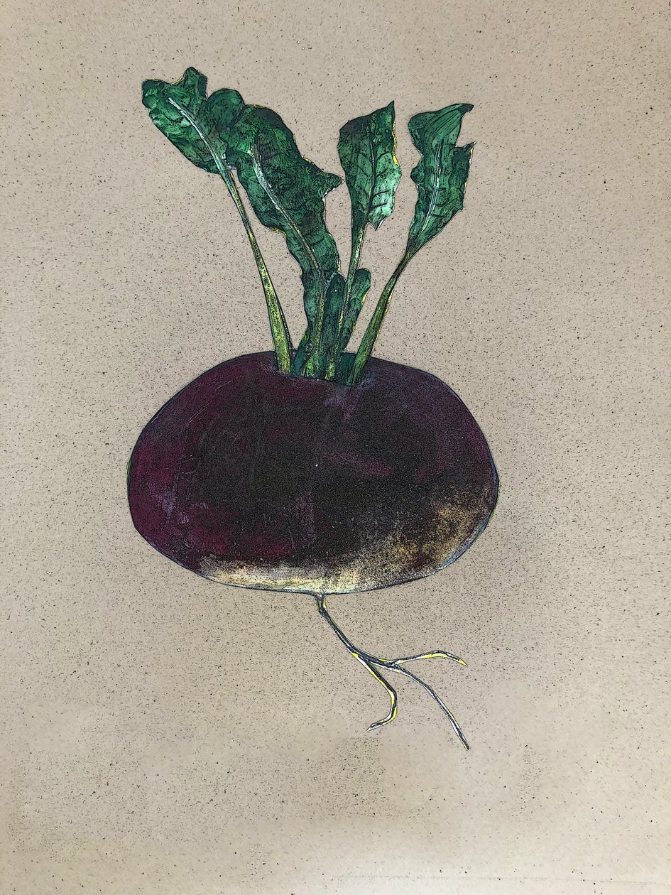 萝卜，2024 年（布面油画） 作者 莎拉·汤普森·恩格斯