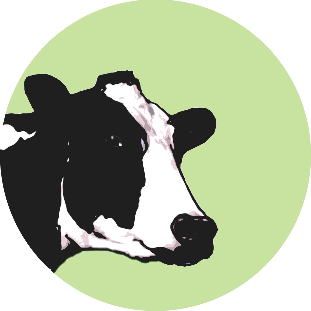 Cow 作者 莎拉·汤普森·恩格斯