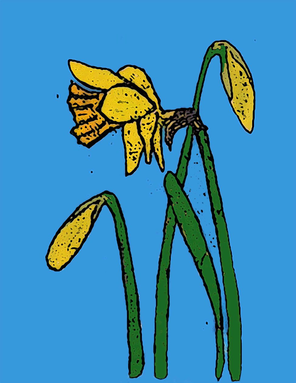Daffodils,2015 (monoprint with inks) 作者 莎拉·汤普森·恩格斯