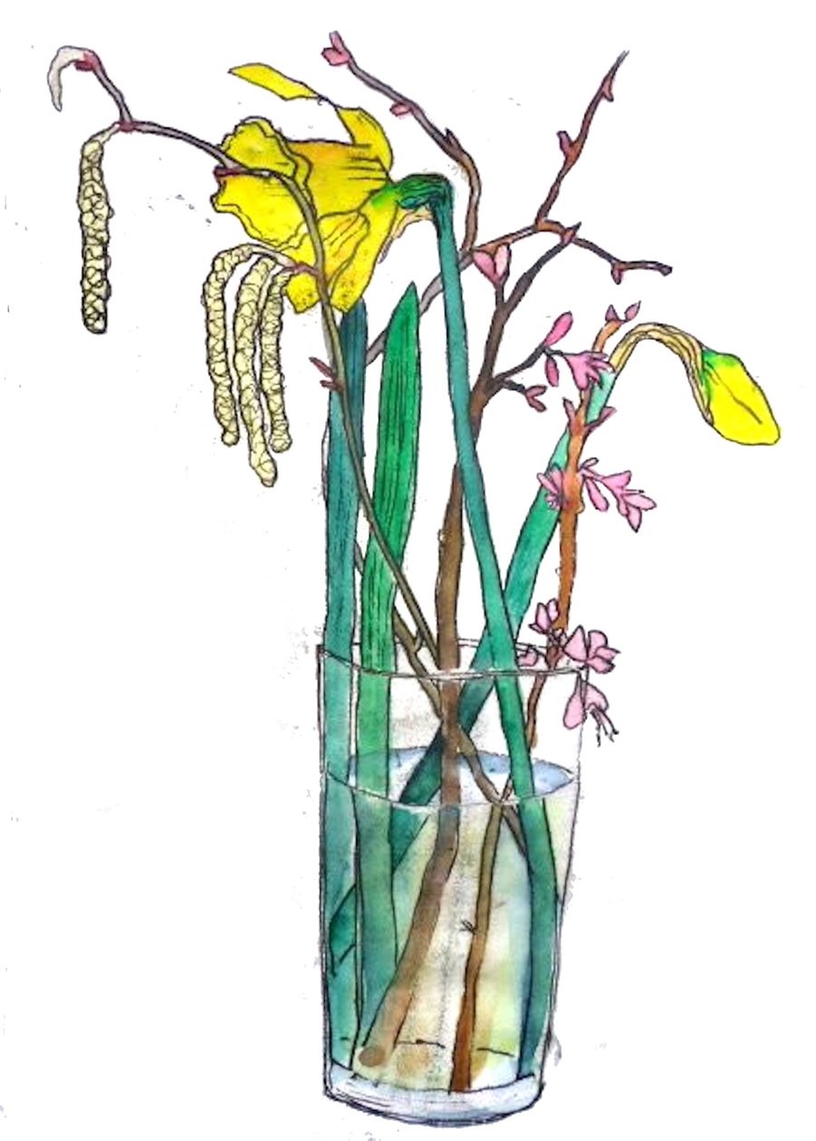 Daffodils 作者 莎拉·汤普森·恩格斯