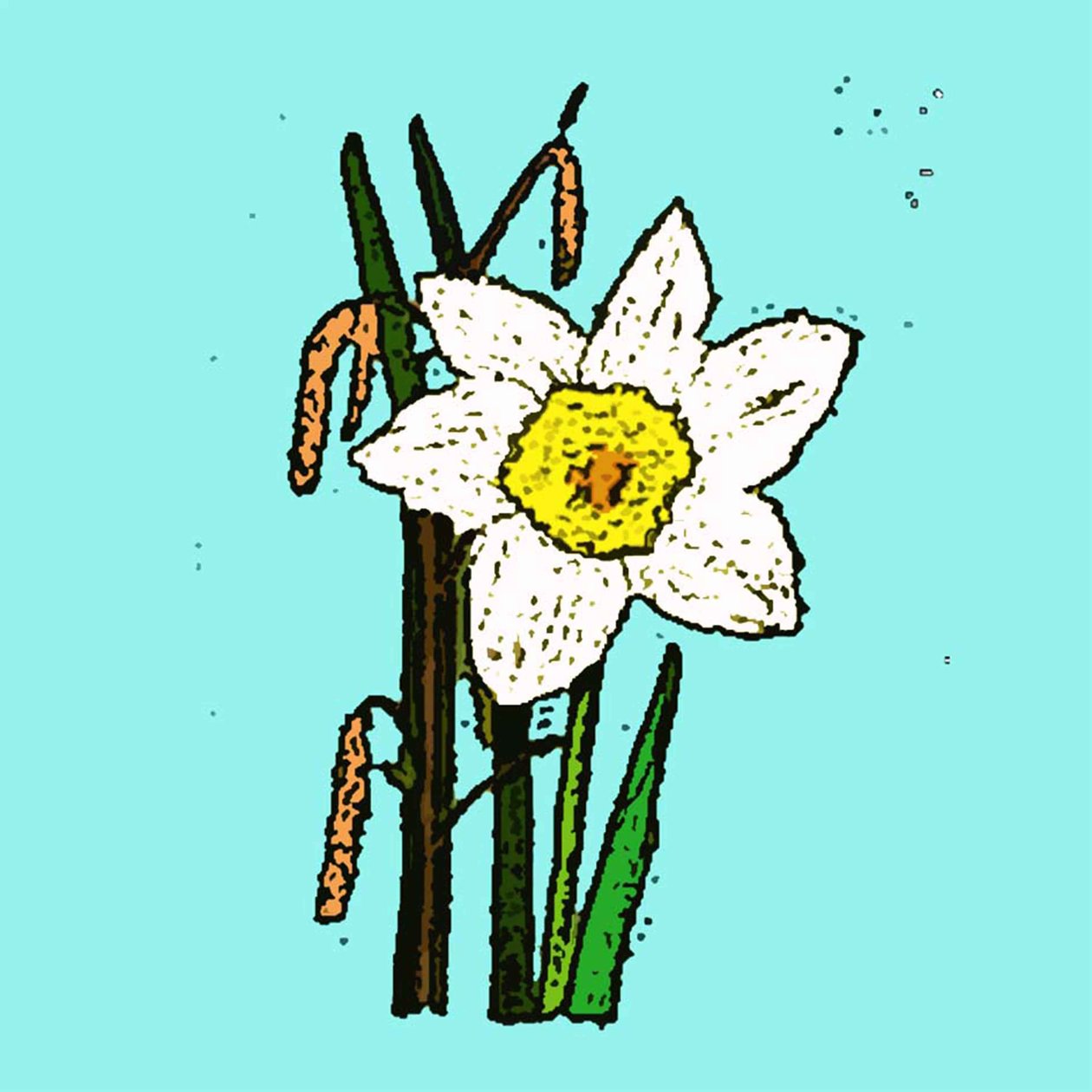 Daffodils, 2015 (monoprint) 作者 莎拉·汤普森·恩格斯