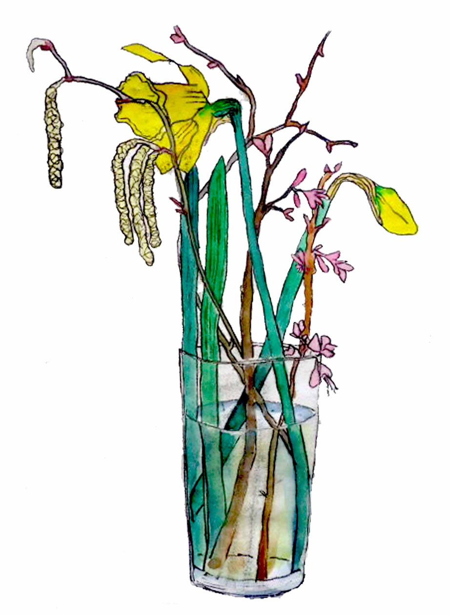 Daffodils and catkins,2018 (watercolour) 作者 莎拉·汤普森·恩格斯