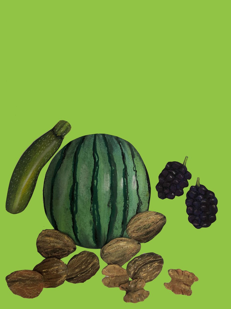 Fruit & veggies,2020,cutout 作者 莎拉·汤普森·恩格斯