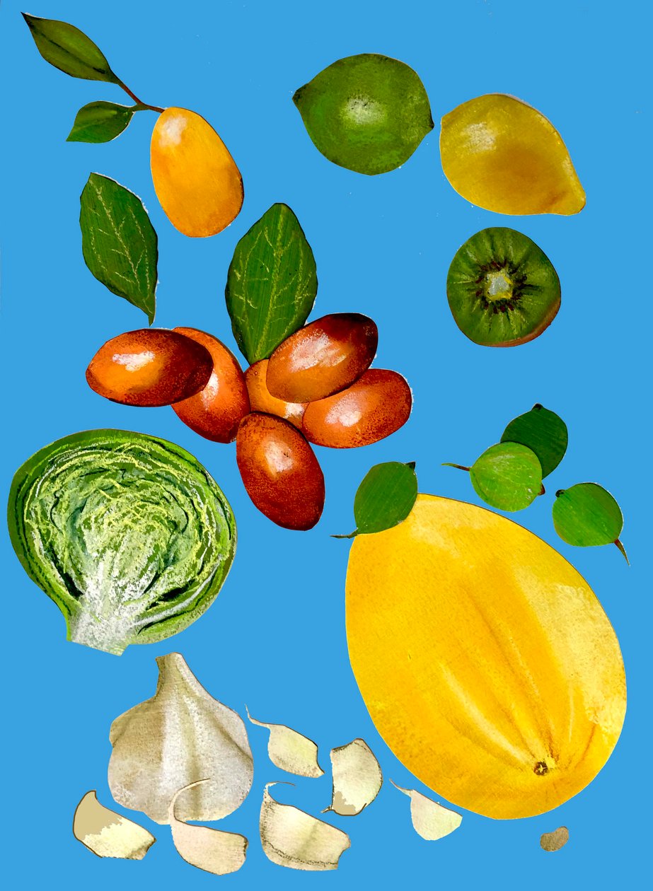 Fruit & veggies 2020 (cutout) 作者 莎拉·汤普森·恩格斯