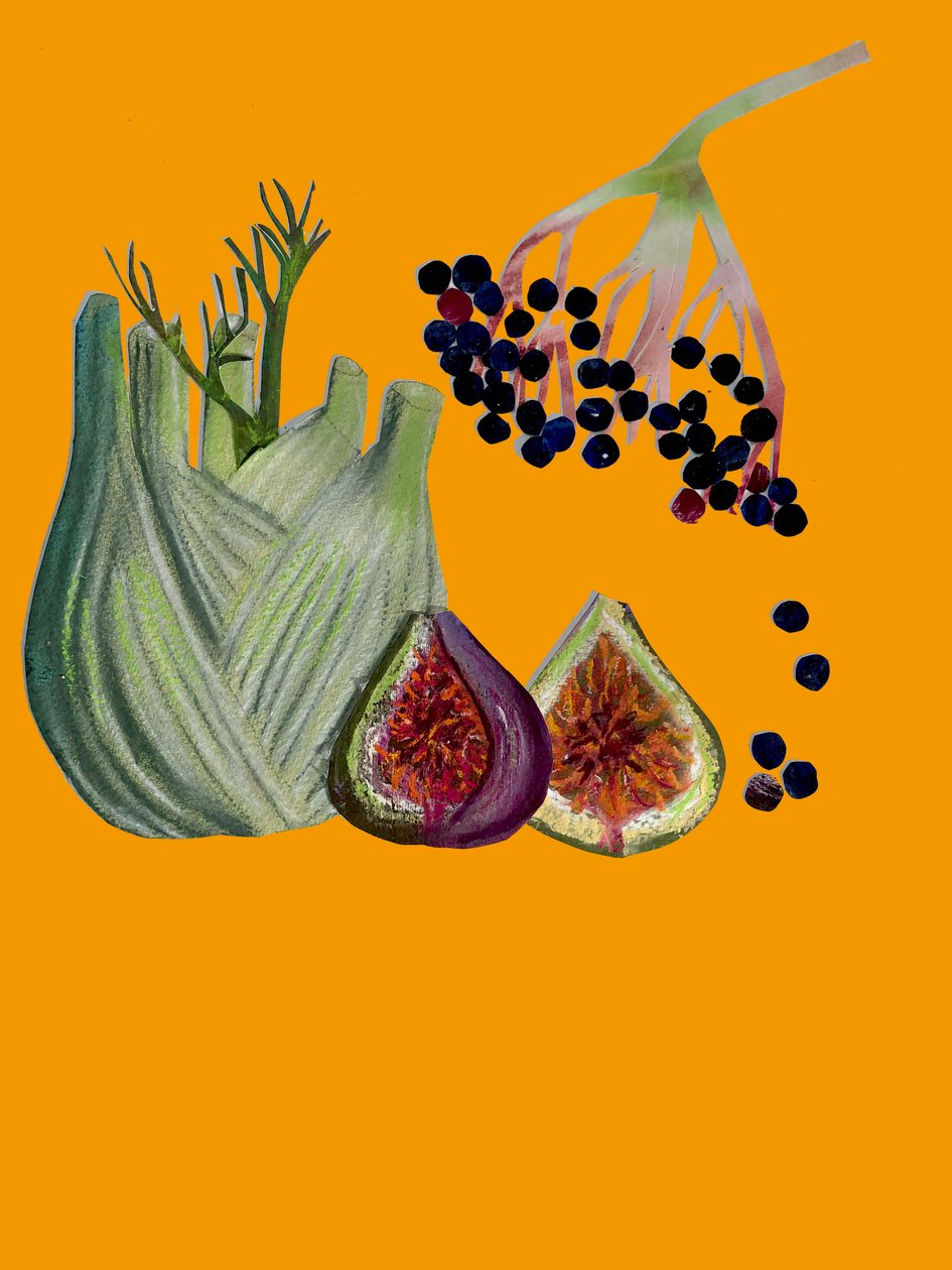 Fruit & veggies cutout 2020 作者 莎拉·汤普森·恩格斯