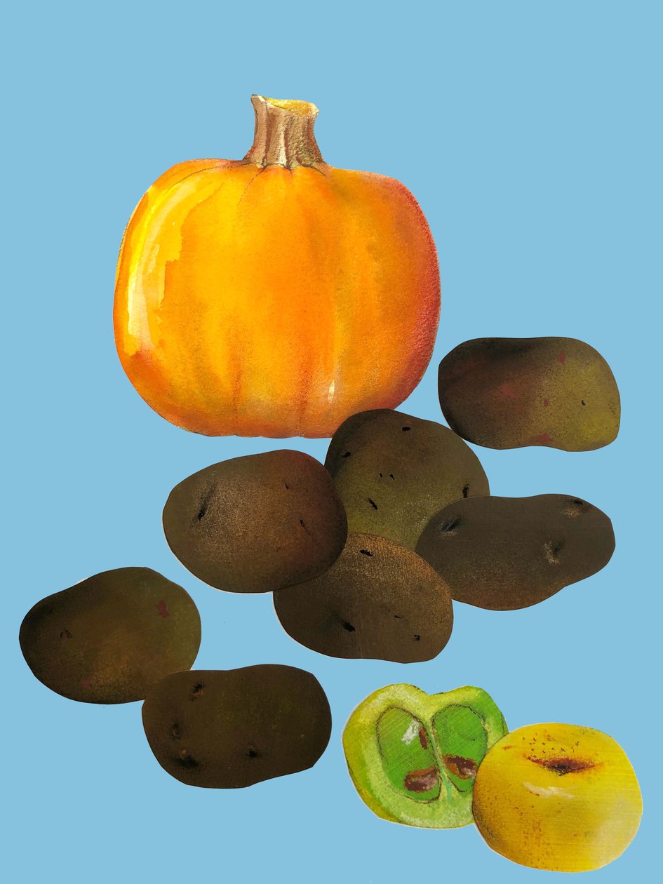 Fruit & veggies vegetables,2020,cutout 作者 莎拉·汤普森·恩格斯