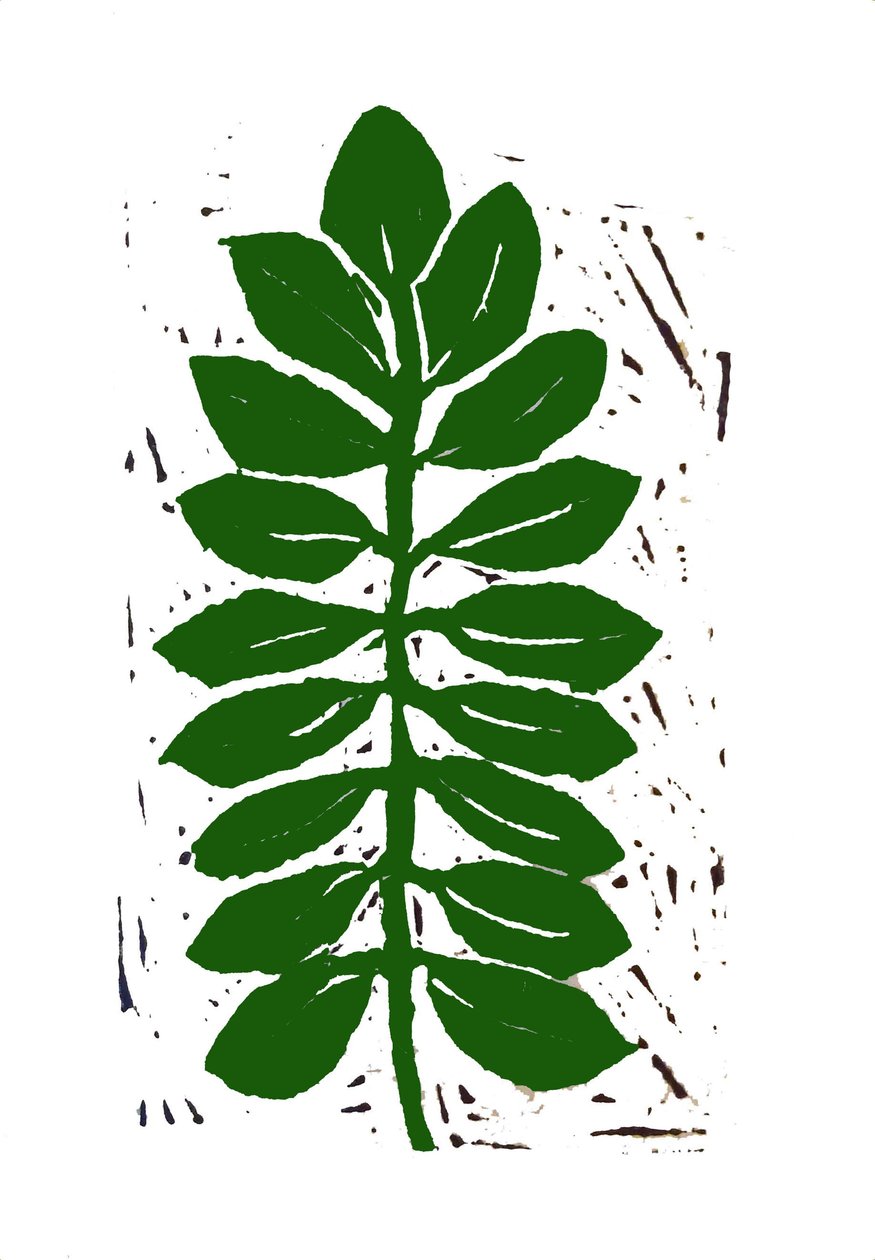 Leaf,2019 (linocut) 作者 莎拉·汤普森·恩格斯