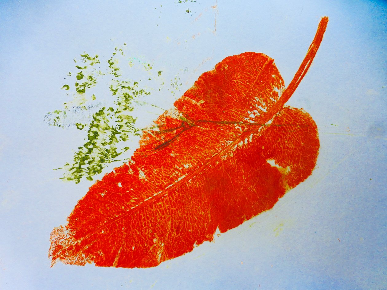 Orange leaf (monoprint on paper) 2020 作者 莎拉·汤普森·恩格斯