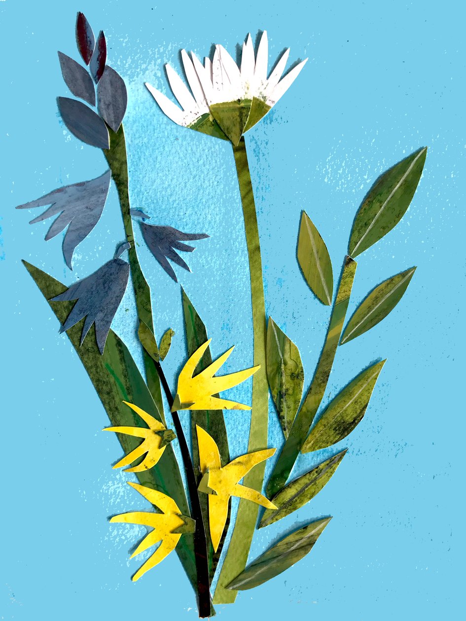 Spring flowers,2018 (collage) 作者 莎拉·汤普森·恩格斯
