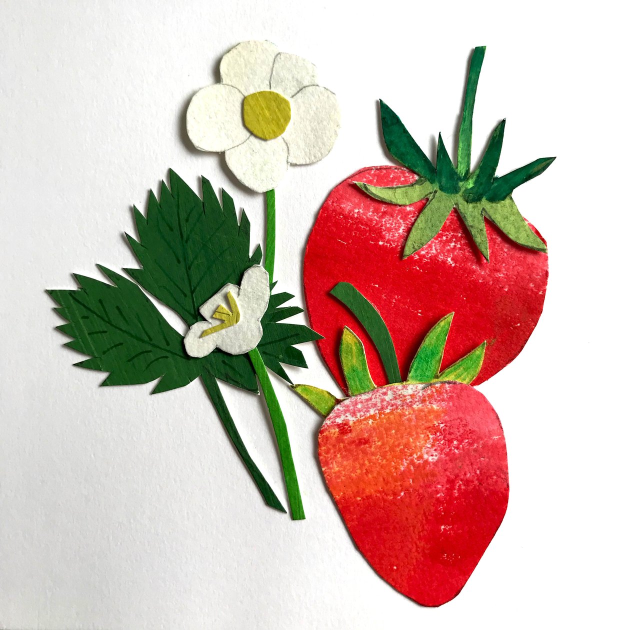 草莓,2019(拼贴画) 作者 莎拉·汤普森·恩格斯