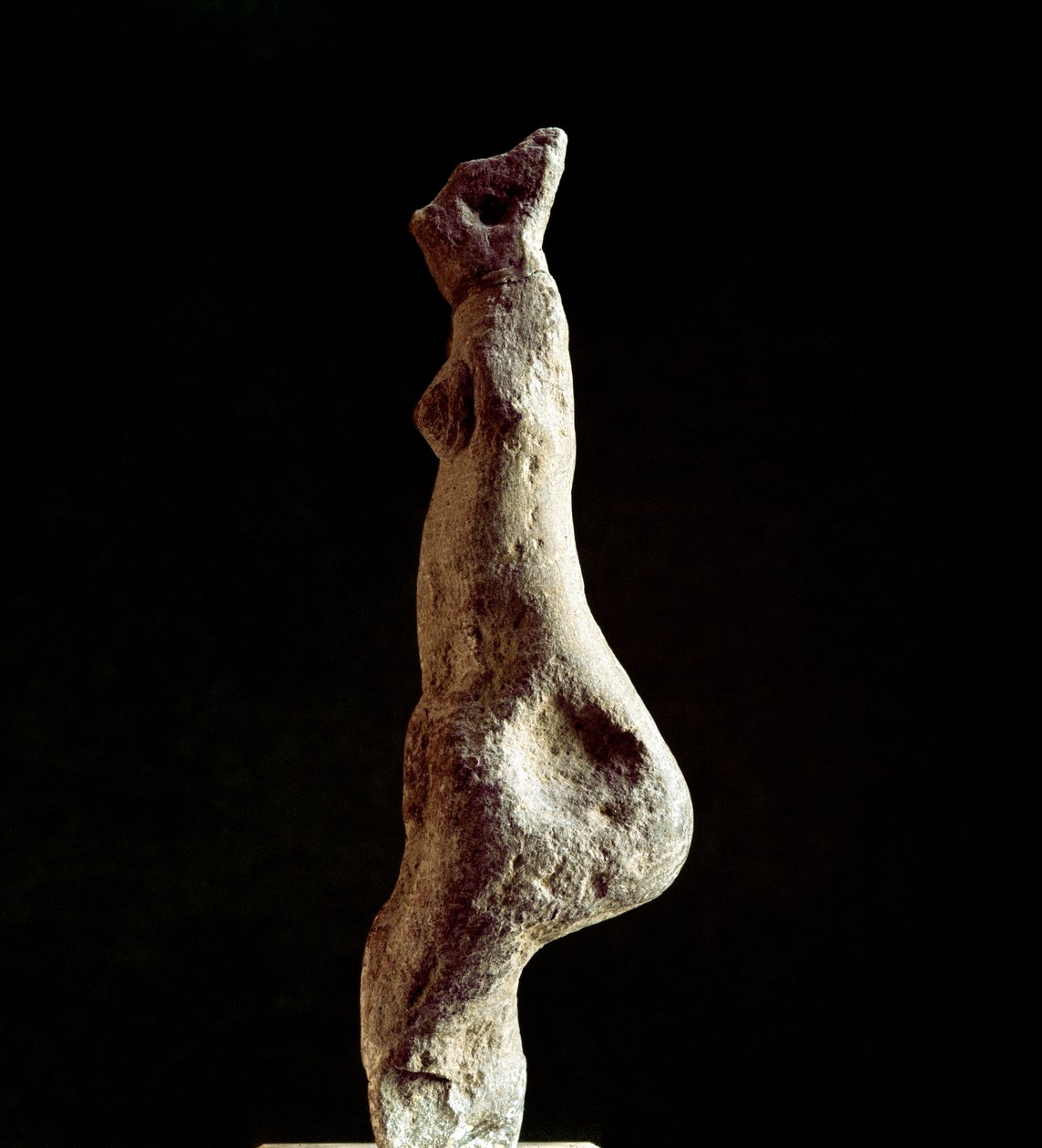Nuragic 文化 (nuraghi) 撒丁岛：来自 Nuoro 附近的 Macomer 的 Venus steatopigic (腰部形式) (Venus de Macomer) 的石灰石雕像。 可追溯到早产时期（公元前 25 至 18 世纪）新石器时代。 卡利亚里，国家考古博物馆 作者 撒丁岛的努拉克文明