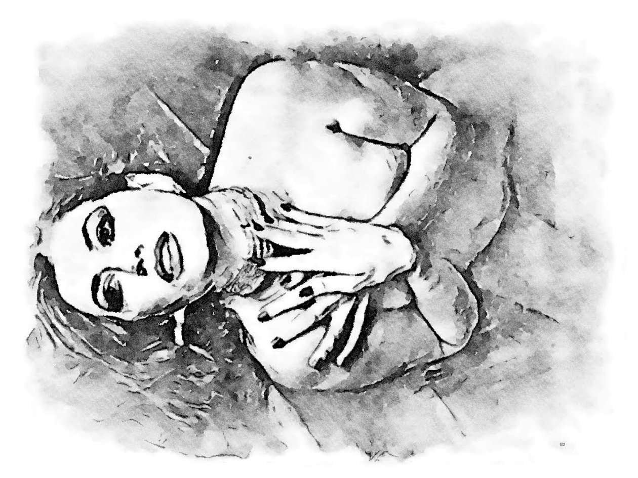 说谎的女人 作者 萨斯基亚
