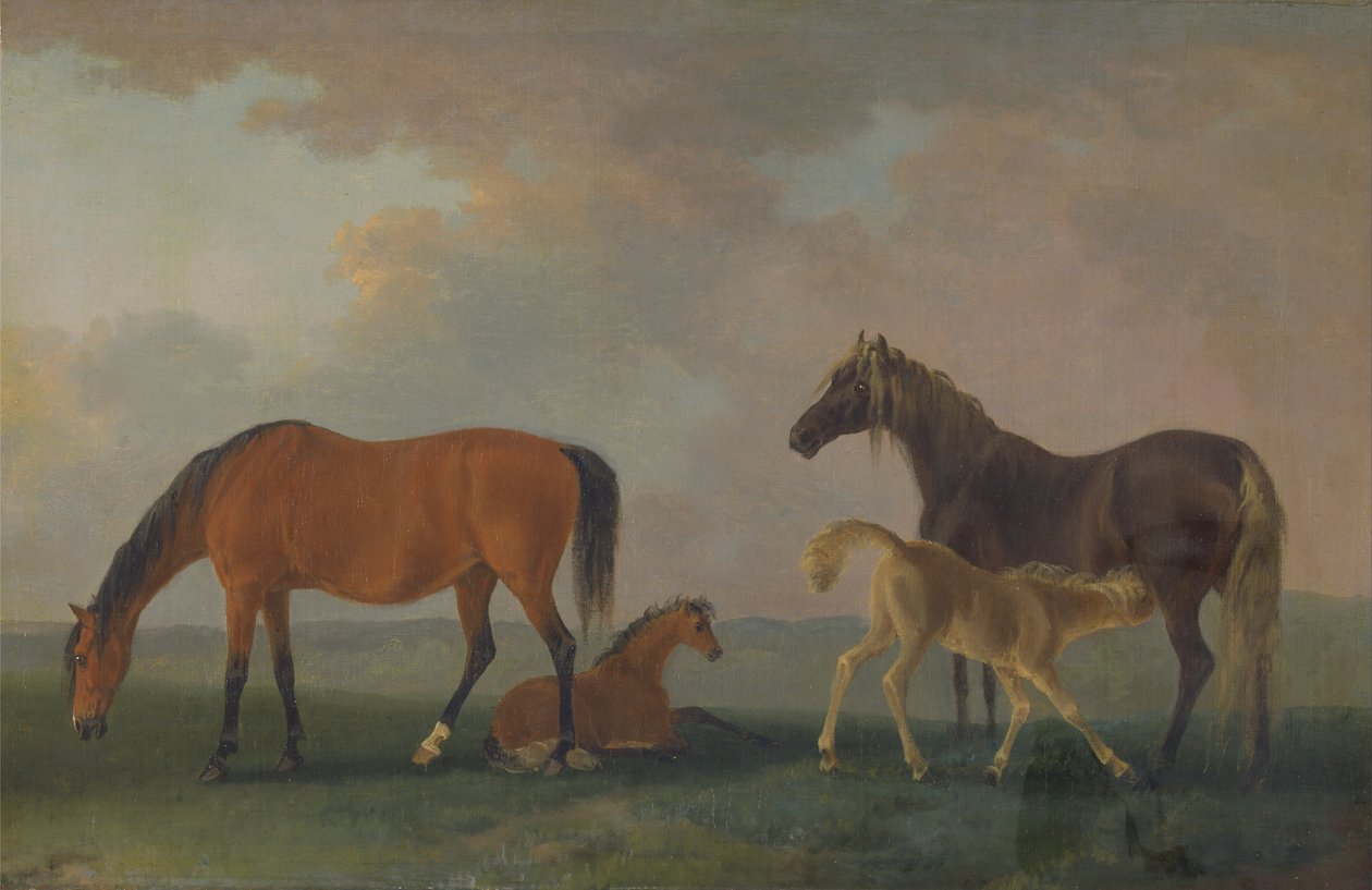 面向左边的Mares和Foals 作者 索里·吉尔平（Sawrey Gilpin）