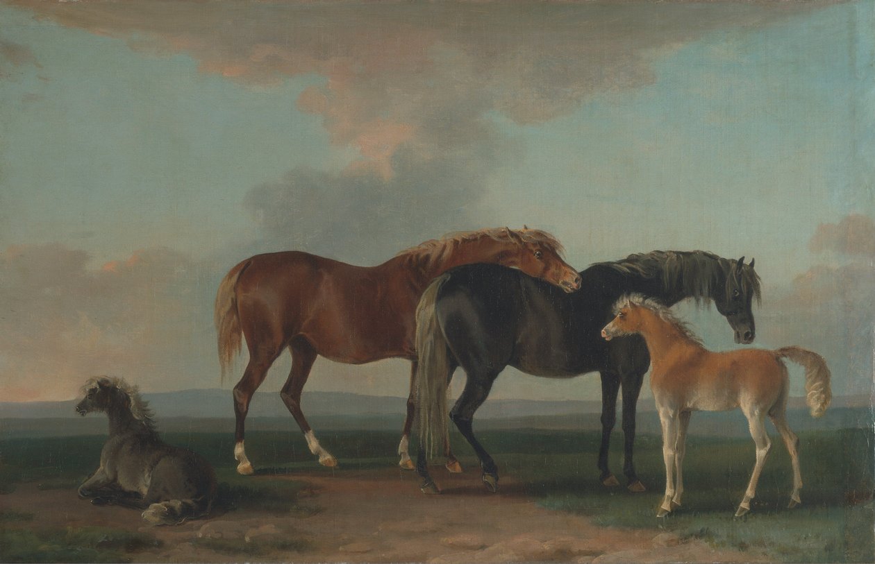 Mares和Foals，面向右边 作者 索里·吉尔平（Sawrey Gilpin）