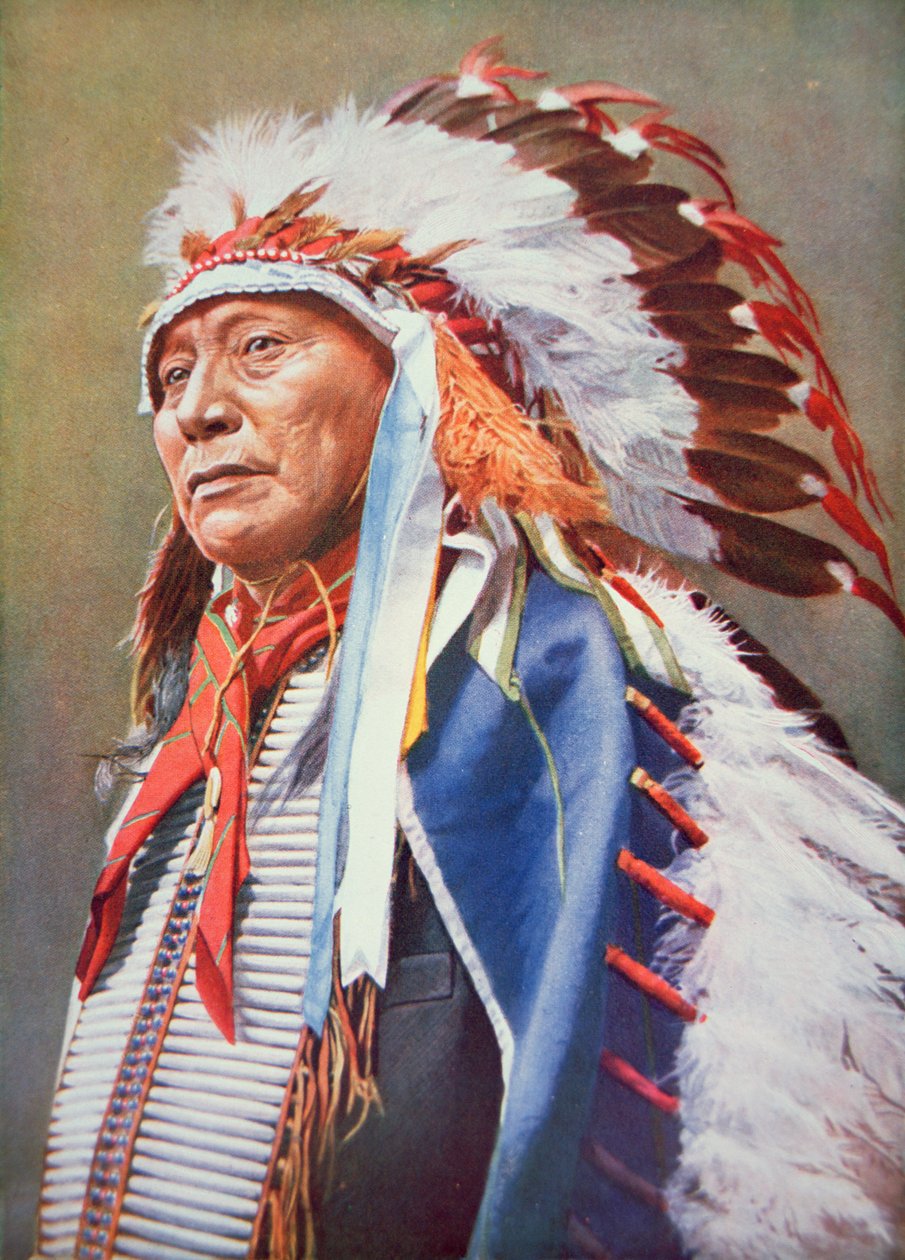 Chief Hollow Horn Bear (1850-1913)（彩色石版画） 作者 美国学校