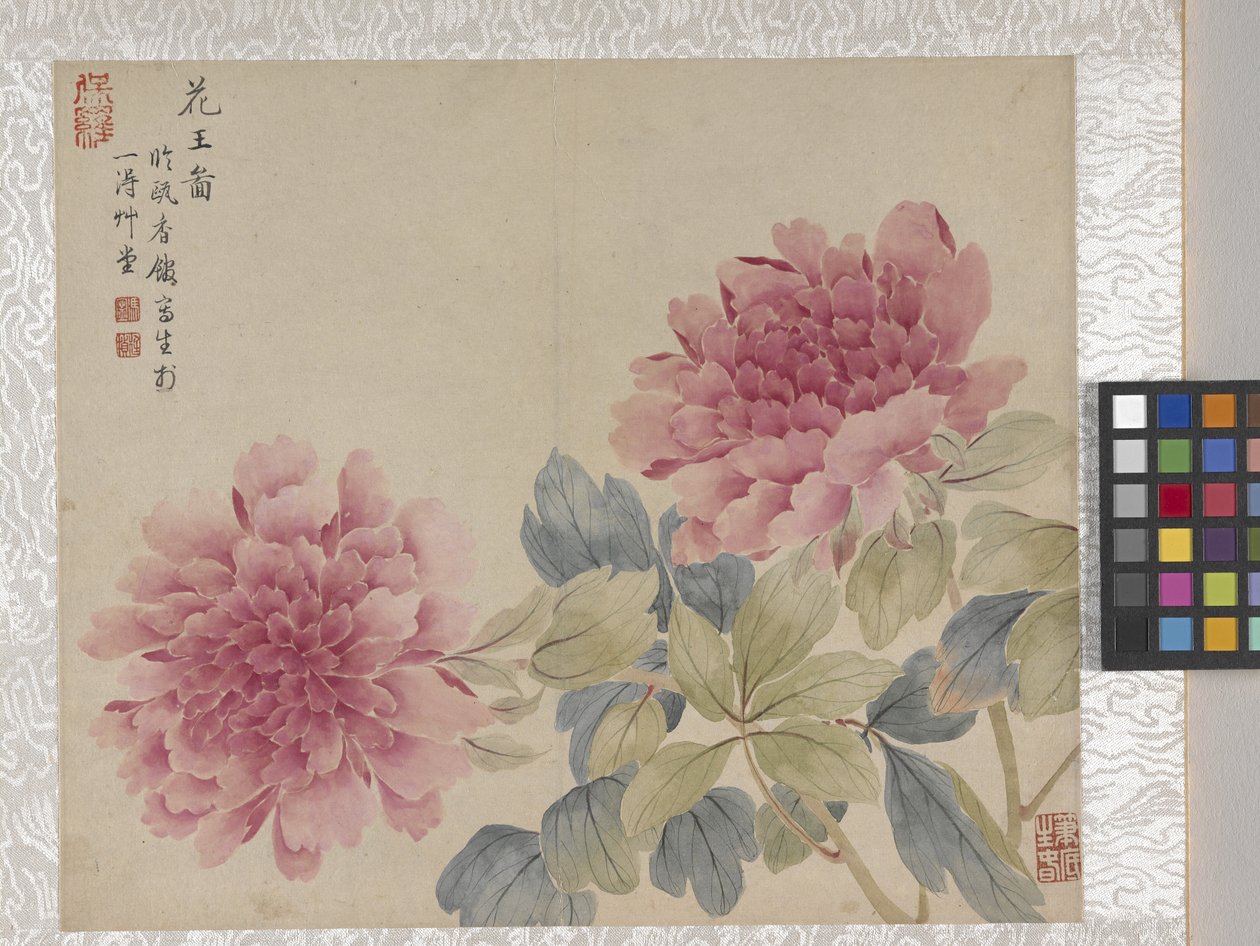 8 叶花卉册，17 世纪中期（纸张上的墨水和色彩） 作者 学校中文