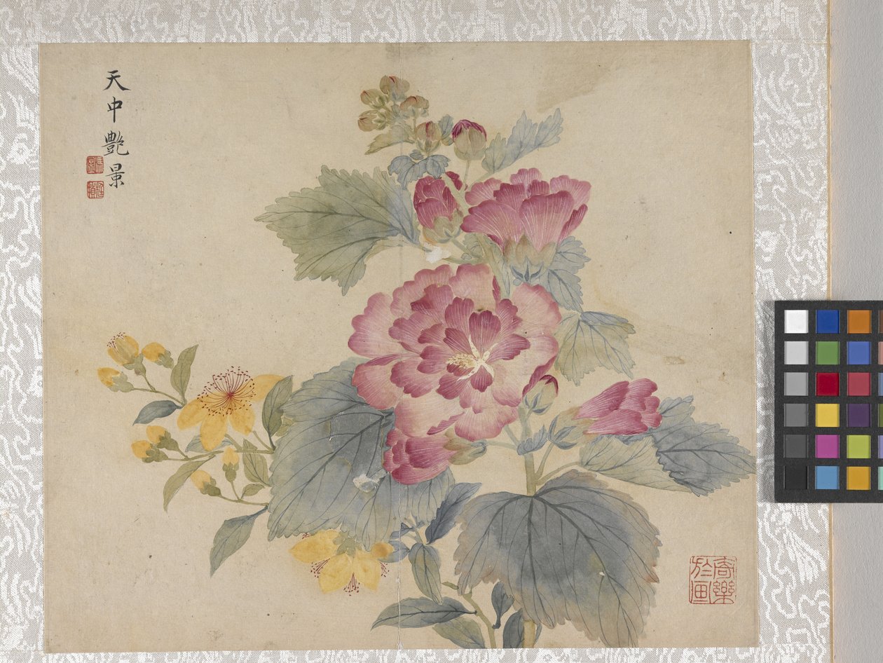8 叶花卉册，17 世纪中期（纸张上的墨水和色彩） 作者 学校中文